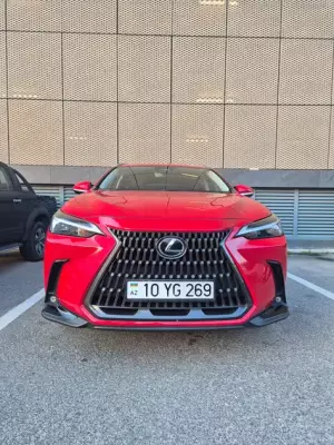 Lexus NX 250 for rent in Azerbaijan
