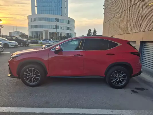 Lexus NX 250 for rent in Azerbaijan